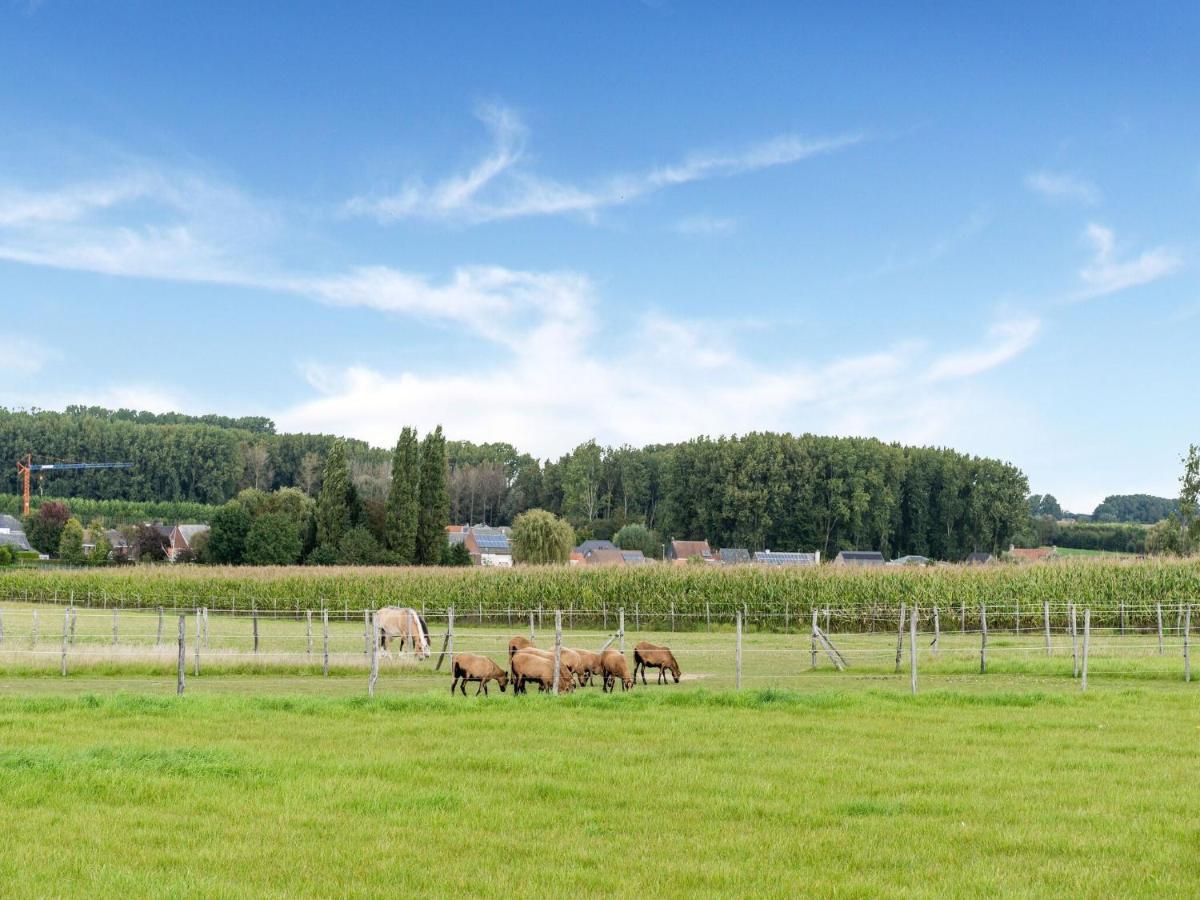 Stunning Holiday Home In Oombergen With Terrace And Garden Zottegem 外观 照片